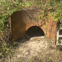 MS - Leflore 49 acres - images 2