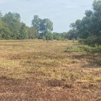 MS - Leflore 49 acres - images 3