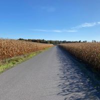 Ridgeview Farm images 2