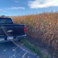 Ridgeview Farm images 3