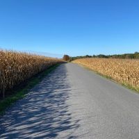 Ridgeview Farm images 4