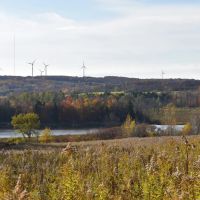 Marvelous West Mud Lake images 2