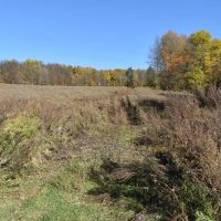 Marvelous West Mud Lake images 4