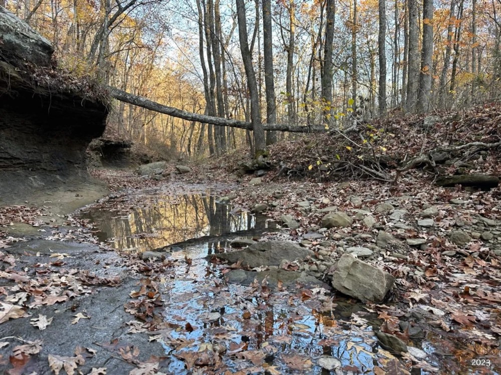74.34 Acres adjacent to the Ozark National Forest featured image