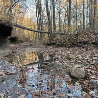 74.34 Acres adjacent to the Ozark National Forest
