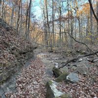 74.34 Acres adjacent to the Ozark National Forest images 3