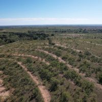 New Listing 15 - Ac CR 144 Ovalo Tract 1 images 1