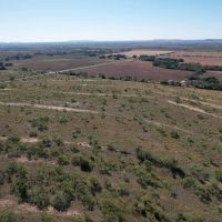 New Listing 15 - Ac CR 144 Ovalo Tract 1 images 2