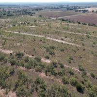 New Listing 15 - Ac CR 144 Ovalo Tract 1 images 4