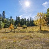 Paradise Creek 160 images 3