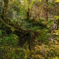 Paradise Creek 160 images 5