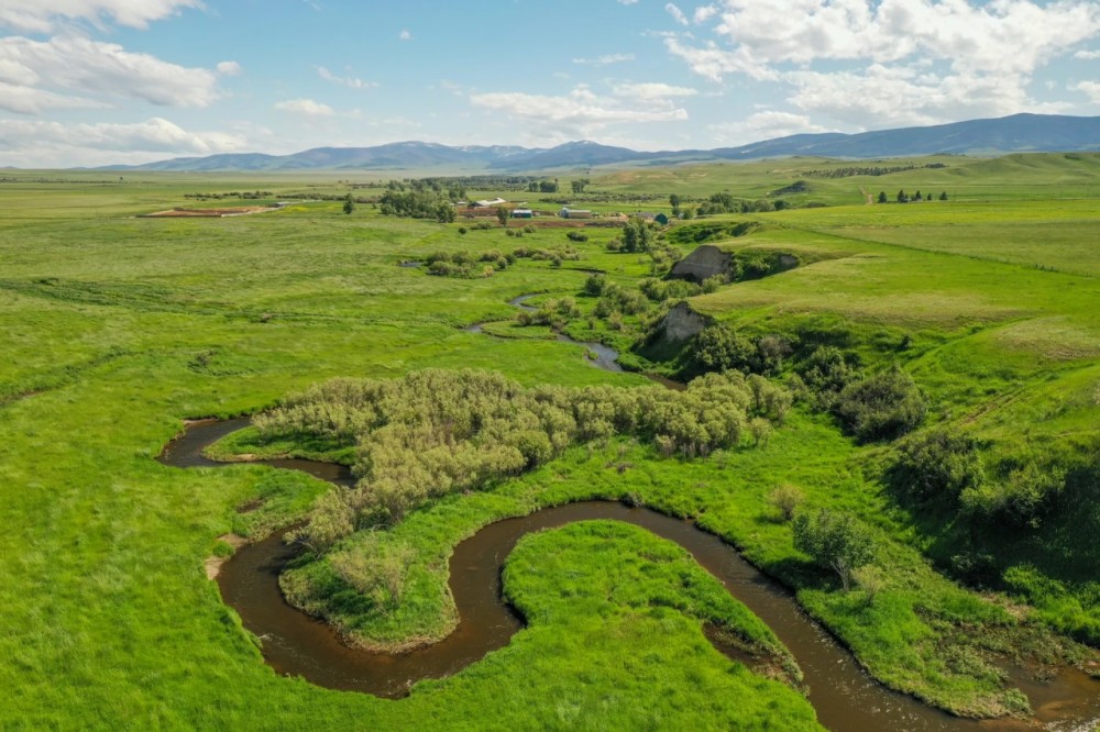 CAMAS CREEK CATTLE SHEEP COMPANY featured image