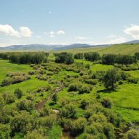 CAMAS CREEK CATTLE SHEEP COMPANY images 4