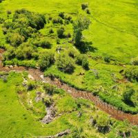 CAMAS CREEK CATTLE SHEEP COMPANY images 5