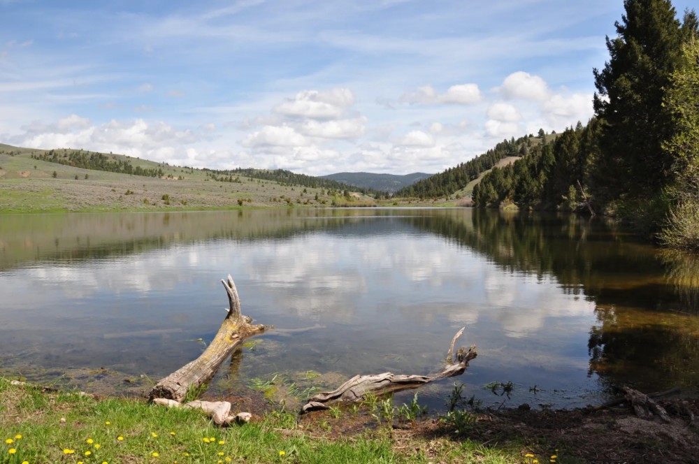 MCGUIRE SPRING CREEK RANCH featured image