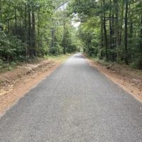 Whispering Pines Tract Bienville Parish 82 Acres - images 3