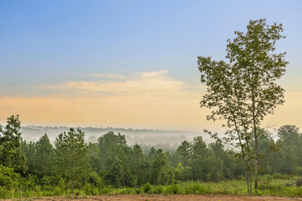 70 Acres - Country Dream Opportunity - Near Chattanooga featured image