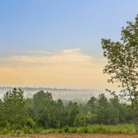 70 Acres - Country Dream Opportunity - Near Chattanooga