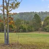 70 Acres - Country Dream Opportunity - Near Chattanooga images 4