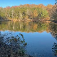 169 - Acres Hunters Paradise Creek Pond Sharp Co Arkansas images 2