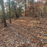 169 - Acres Hunters Paradise Creek Pond Sharp Co Arkansas images 3