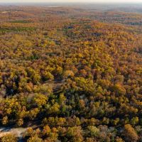 169 - Acres Hunters Paradise Creek Pond Sharp Co Arkansas images 4