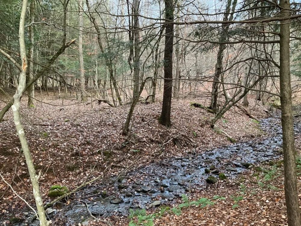 9 acre Wooded Country Land Near New Lisbon NY featured image