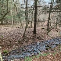 9 acre Wooded Country Land Near New Lisbon NY