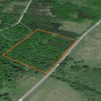 9 acre Wooded Country Land Near New Lisbon NY images 4