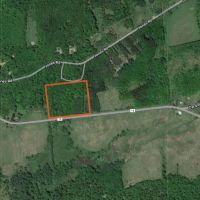 9 acre Wooded Country Land Near New Lisbon NY images 5