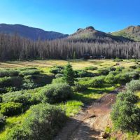 Carson Ghost Town Ranch images 2