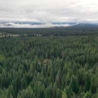 Grouse Flats Timber Tract images 4