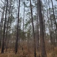 Hooks Road images 2