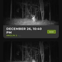 Hooks Road images 4