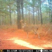 Hooks Road images 5