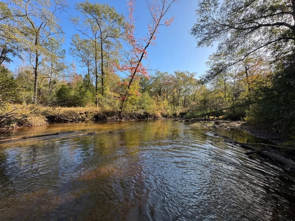 The Perfect Hunting and Home Site featured image