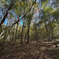 The Perfect Hunting and Home Site images 2