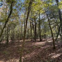 The Perfect Hunting and Home Site images 3