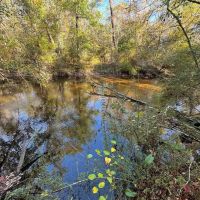 The Perfect Hunting and Home Site images 4