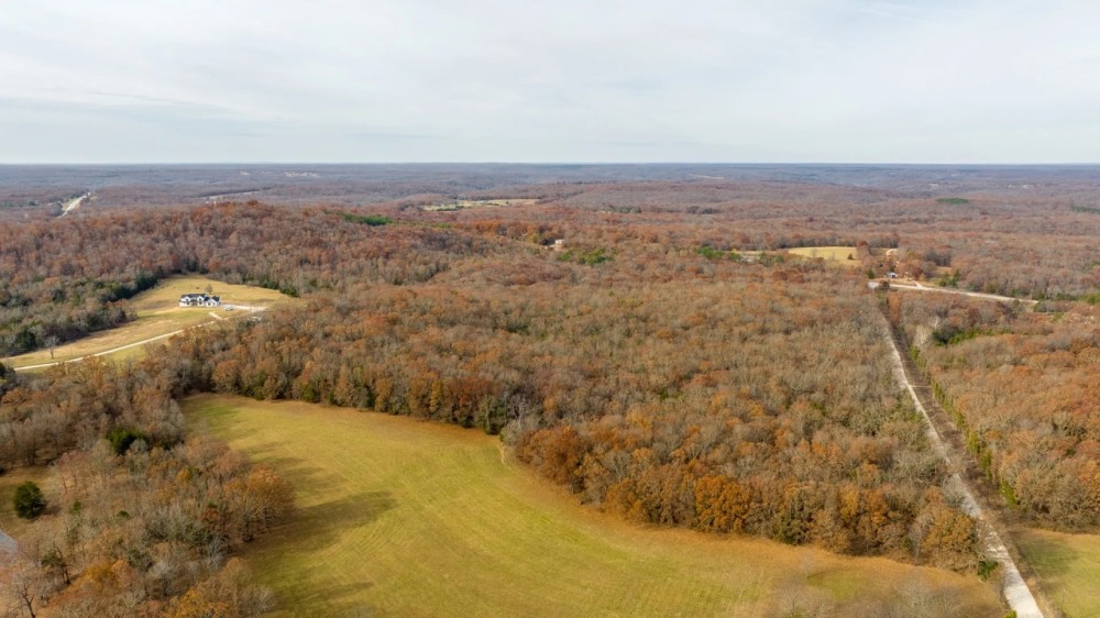 19.76 Acre Timber Tract Tract C for Sale Phelps County featured image