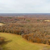 19.76 Acre Timber Tract Tract C for Sale Phelps County