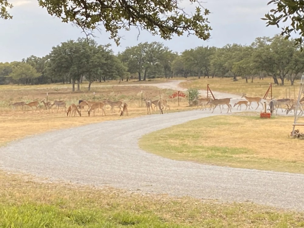 Back on Market 86.6 - Acres Home Brown County featured image