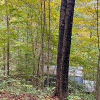 Ohio hunters get-a-way with off grid cabins bordering Wayne National Forest at the end of a dead-end gravel road images 2