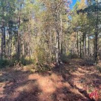 Camp and 15 Acres images 4