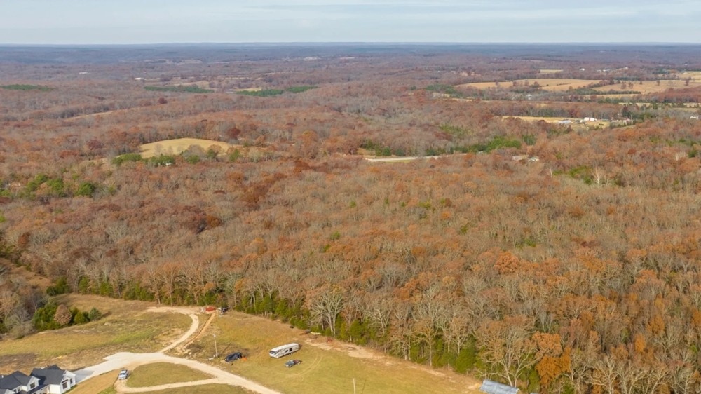 19.76 Acre Timber Tract Tract B for Sale Phelps County featured image