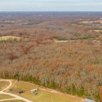 19.76 Acre Timber Tract Tract B for Sale Phelps County