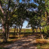 Black Oak Estate images 2