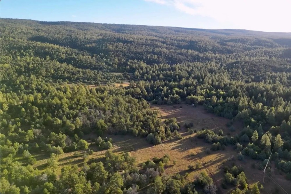 Purple Rock Ranch featured image