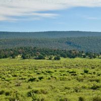 Purple Rock Ranch images 2