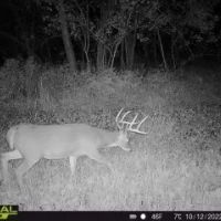 157 Acre Deer Waterfowl Hunting Property for Sale Carroll County images 4